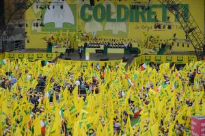 11231340_853934851369814_4246122474243858661_o