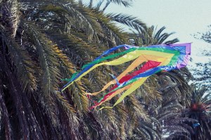 884966_10200815388815864_790534902_o