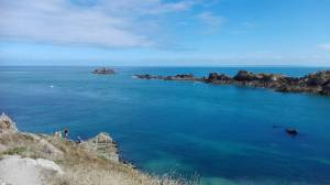 14195443_10210858466566531_1861047685645262860_o-1