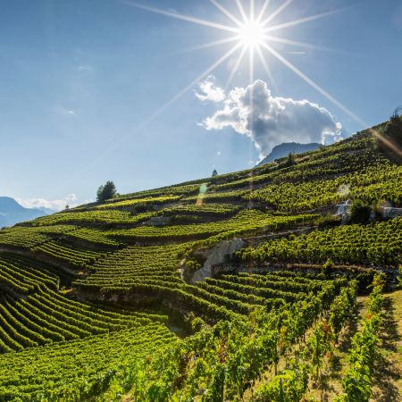 Saint Pierre de Clages