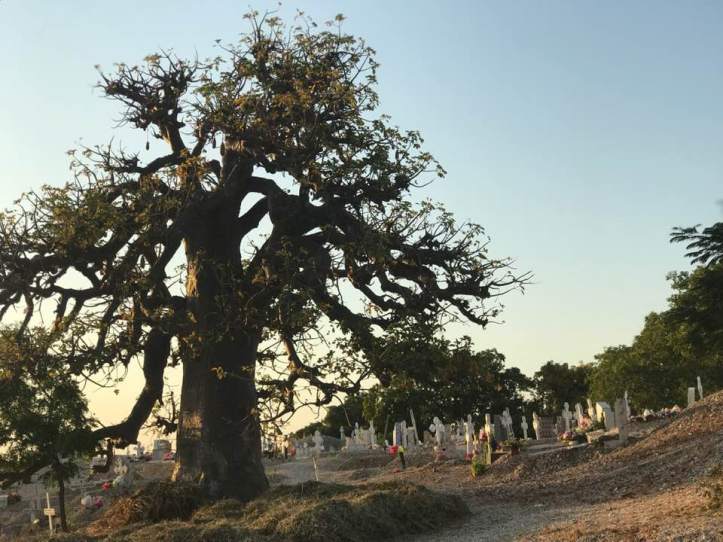 Cimitero delle Conchiglie.jpg