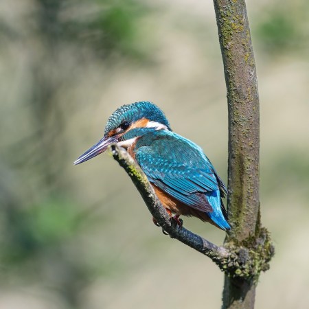 Pulizie di primavera per l'anima