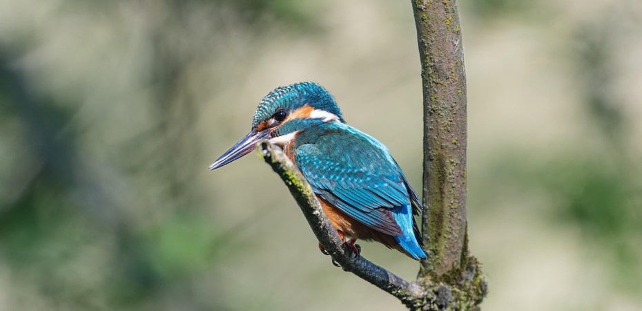 Pulizie di primavera per l'anima